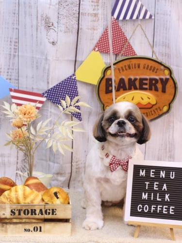 20240910うーたんくん